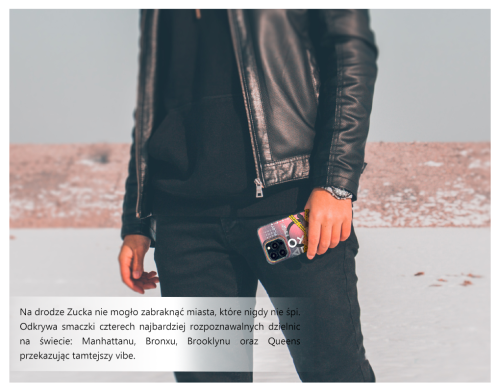 Przygoda misia Zucka za oceanem - Nowy Jork